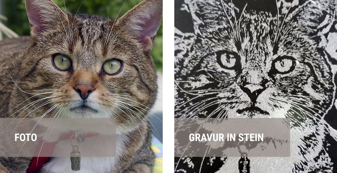 Katze Gravur