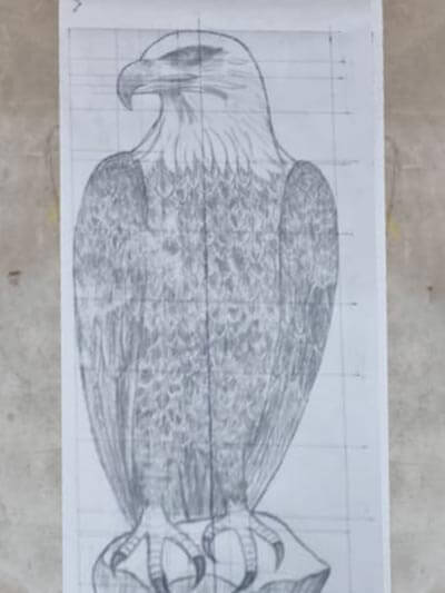 Steinadler Vorlage
